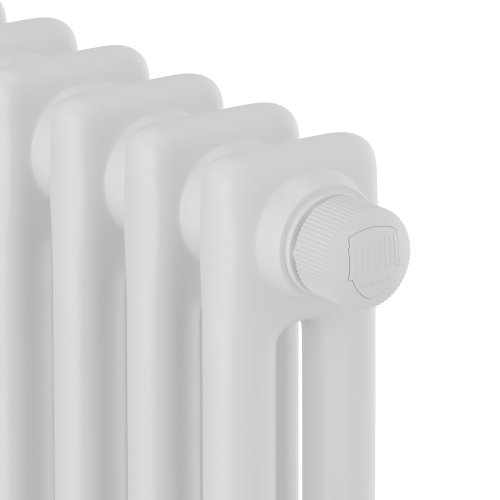 Дизайн-радиатор Royal Thermo Insignia VC2180 - 10 секц. RAL9016