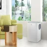 Кондиционер мобильный Electrolux Loft EACM-11 CL/N3